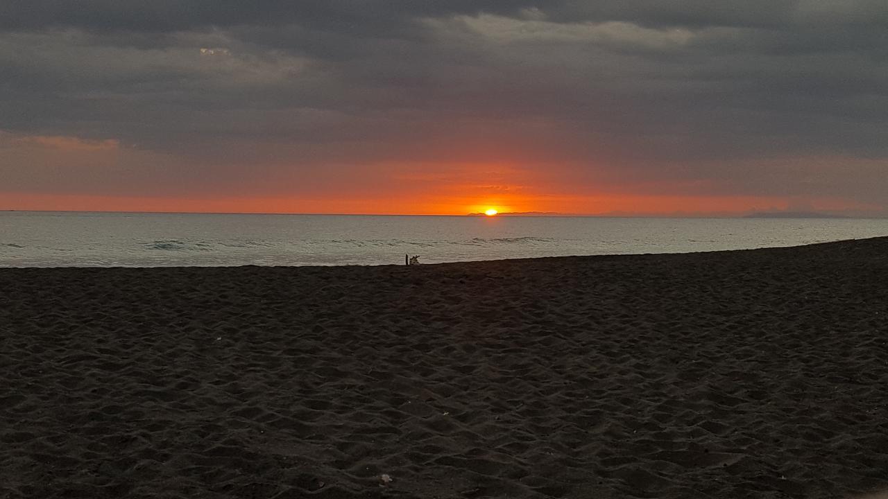 Hotel Sandpiper Jacó Zewnętrze zdjęcie